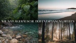 Mehr über den Artikel erfahren Wie Naturgeräusche beim Entspannen und Einschlafen helfen können